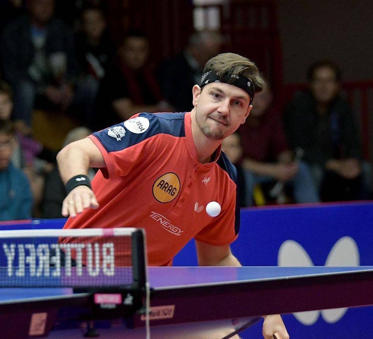 英国乒乓球队险胜波兰乒乓球队,波尔送出助攻 英国乒乓球队险胜波兰乒乓球队,波尔送出助攻